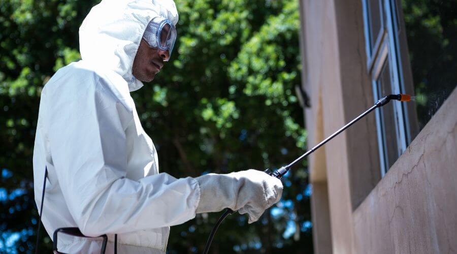 Why choose Termite Inspection Kiwanis Park for termite inspection in Kiwanis Park